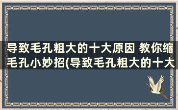 导致毛孔粗大的十大原因 教你缩毛孔小妙招(导致毛孔粗大的十大原因 教你缩毛孔小妙招有哪些)